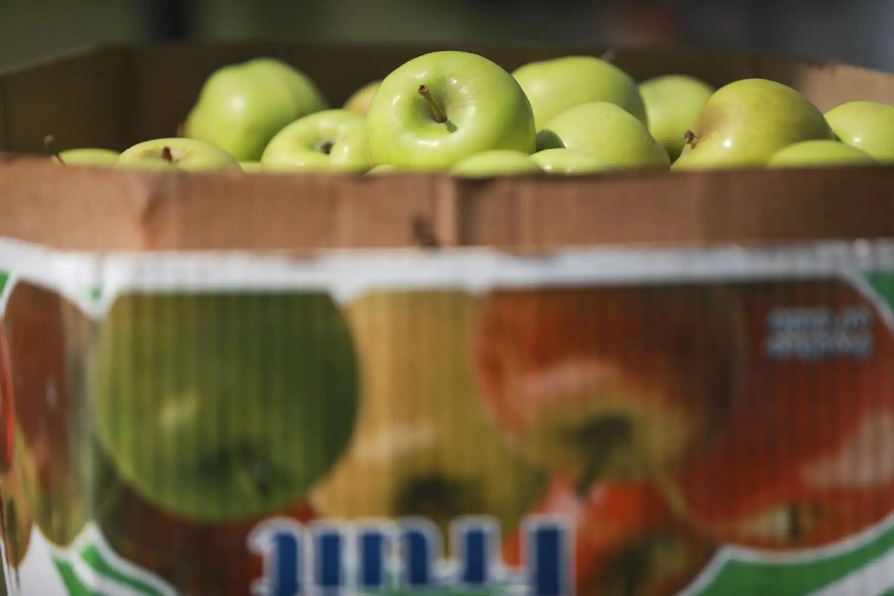 Gloria Espino tiene 22 años y es productora de manzanas del Valle de Mala, ha participado en todos los mercados De La Chacra a la Olla durante la pandemia y ha vendido más de una tonelada y media de manzanas en un solo día. Foto: ANDINA/Carla Patiño