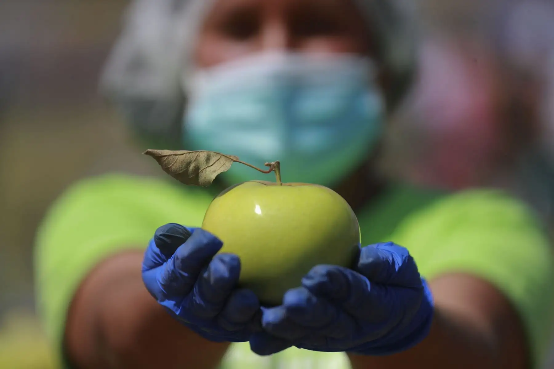 Gloria Espino tiene 22 años y es productora de manzanas del Valle de Mala, ha participado en todos los mercados De La Chacra a la Olla durante la pandemia y ha vendido más de una tonelada y media de manzanas en un solo día. Foto: ANDINA/Carla Patiño