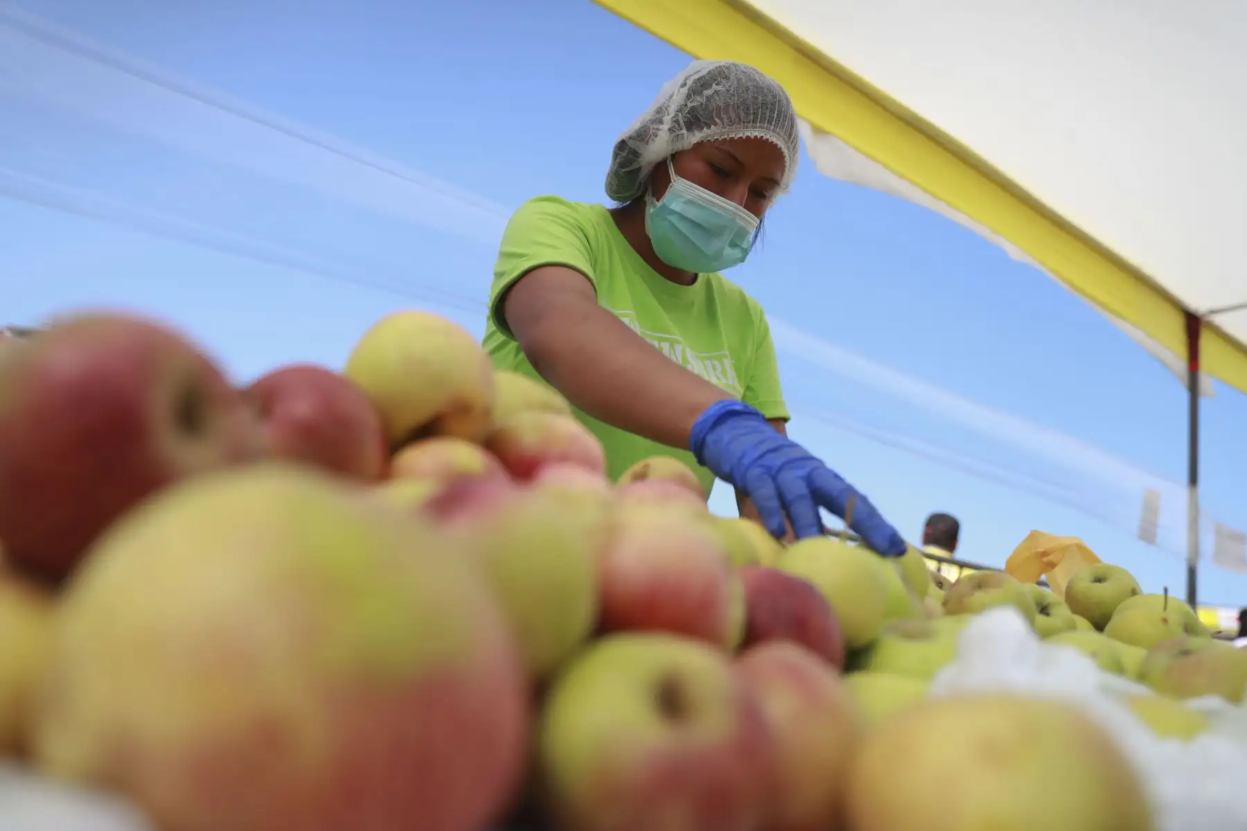 Gloria Espino tiene 22 años y es productora de manzanas del Valle de Mala, ha participado en todos los mercados De La Chacra a la Olla durante la pandemia y ha vendido más de una tonelada y media de manzanas en un solo día. Foto: ANDINA/Carla Patiño