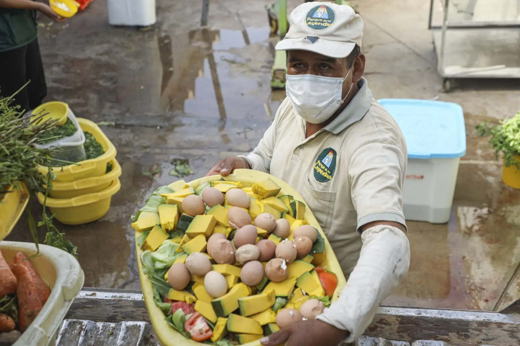 Conoce como el personal del Parque de las Leyendas, alimenta a los animales en el día a día.
Foto: Municipalidad de Lima