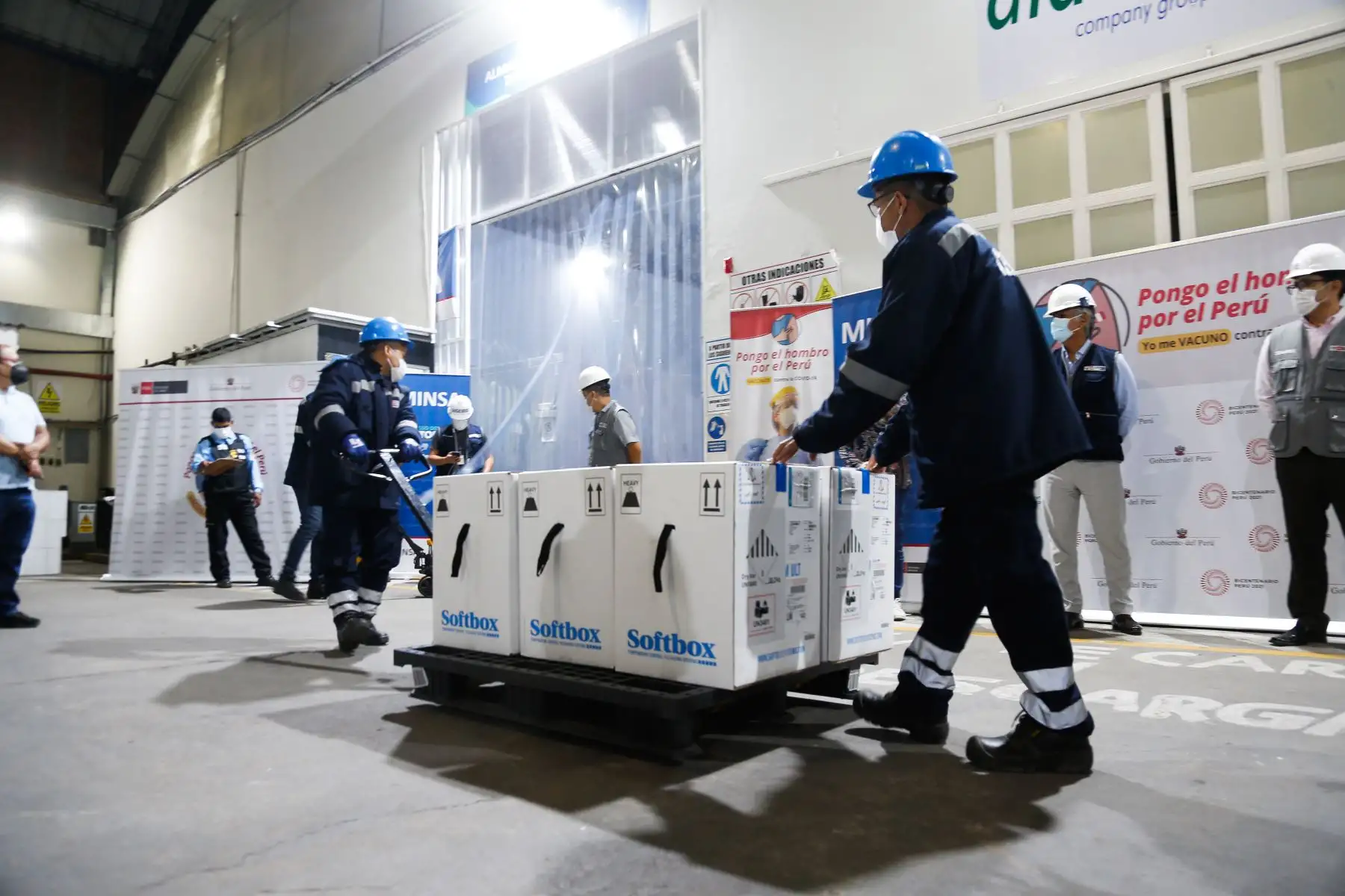 El Ministerio de Salud recibió un nuevo lote de más de 50 mil vacunas contra la COVID-19 del laboratorio Pfizer.
Foto: Minsa