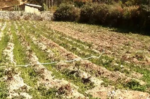 ANDINA/Difusión