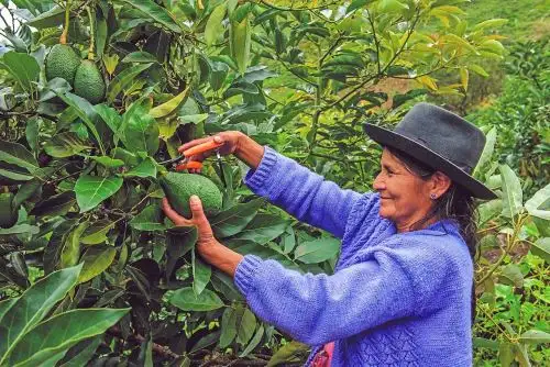 Impulsarán el desarrollo de la mujer productora agraria.