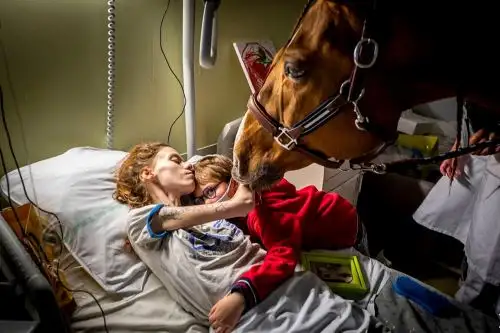El autor, Jérémy Lempin, explica que la terapia asistida con animales se usa en muchos entornos clínicos, especialmente en terapia psicológica y cuidados paliativos. Foto: Jérémy Lempin