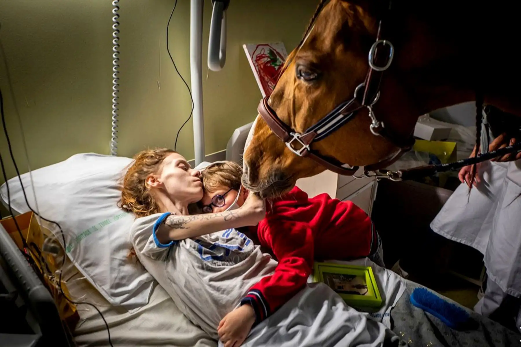 El autor, Jérémy Lempin, explica que la terapia asistida con animales se usa en muchos entornos clínicos, especialmente en terapia psicológica y cuidados paliativos. Foto: Jérémy Lempin