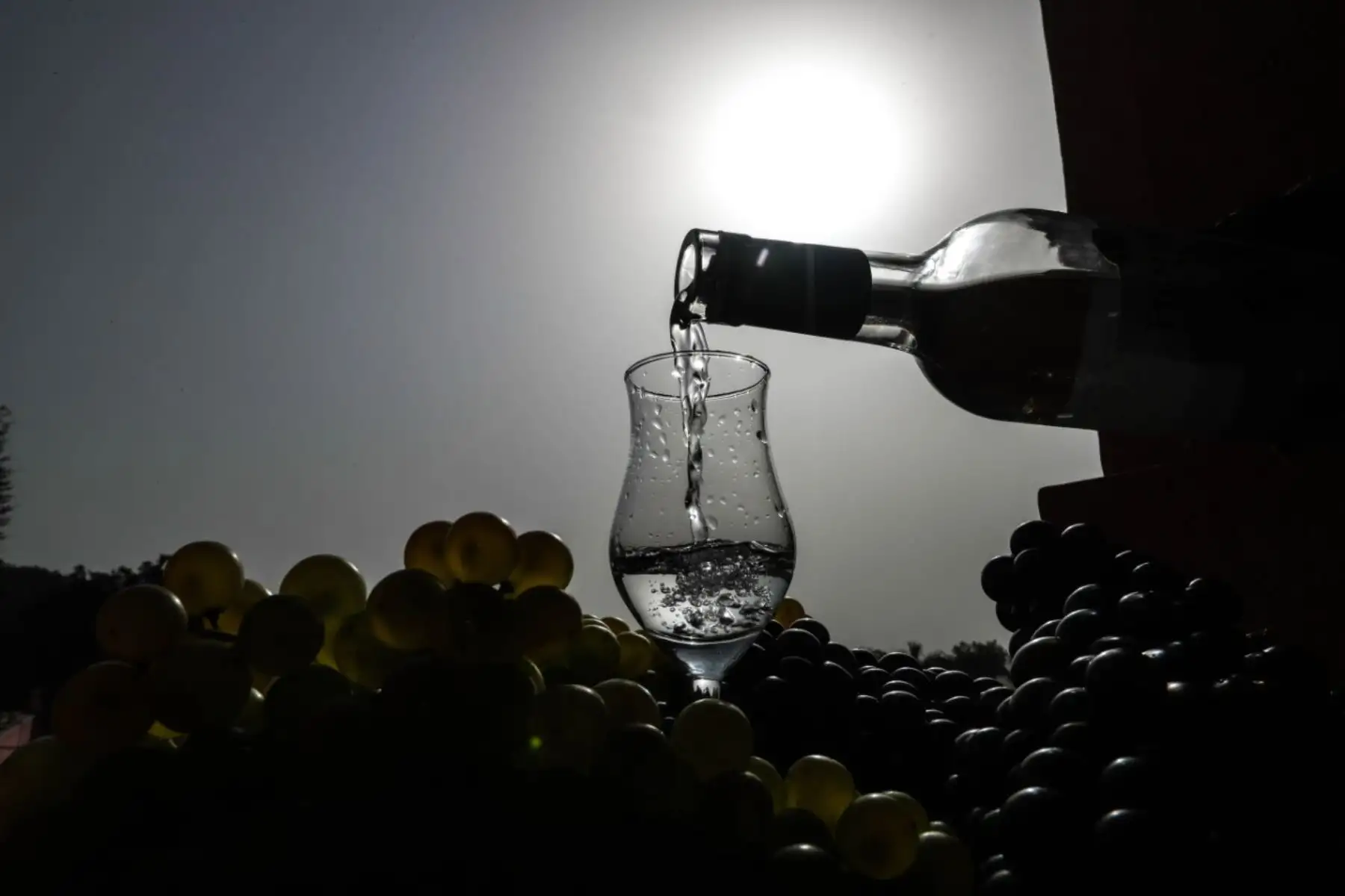 Las expresiones ‘aguardiente de pisco’ y ‘botijas de aguardiente de Pisco’ eran usadas para denominar a la bebida del Perú, exportada hacia los puertos de México y Centroamérica en las primeras décadas del siglo XVIII. Foto: ANDINA/Jack Ramón