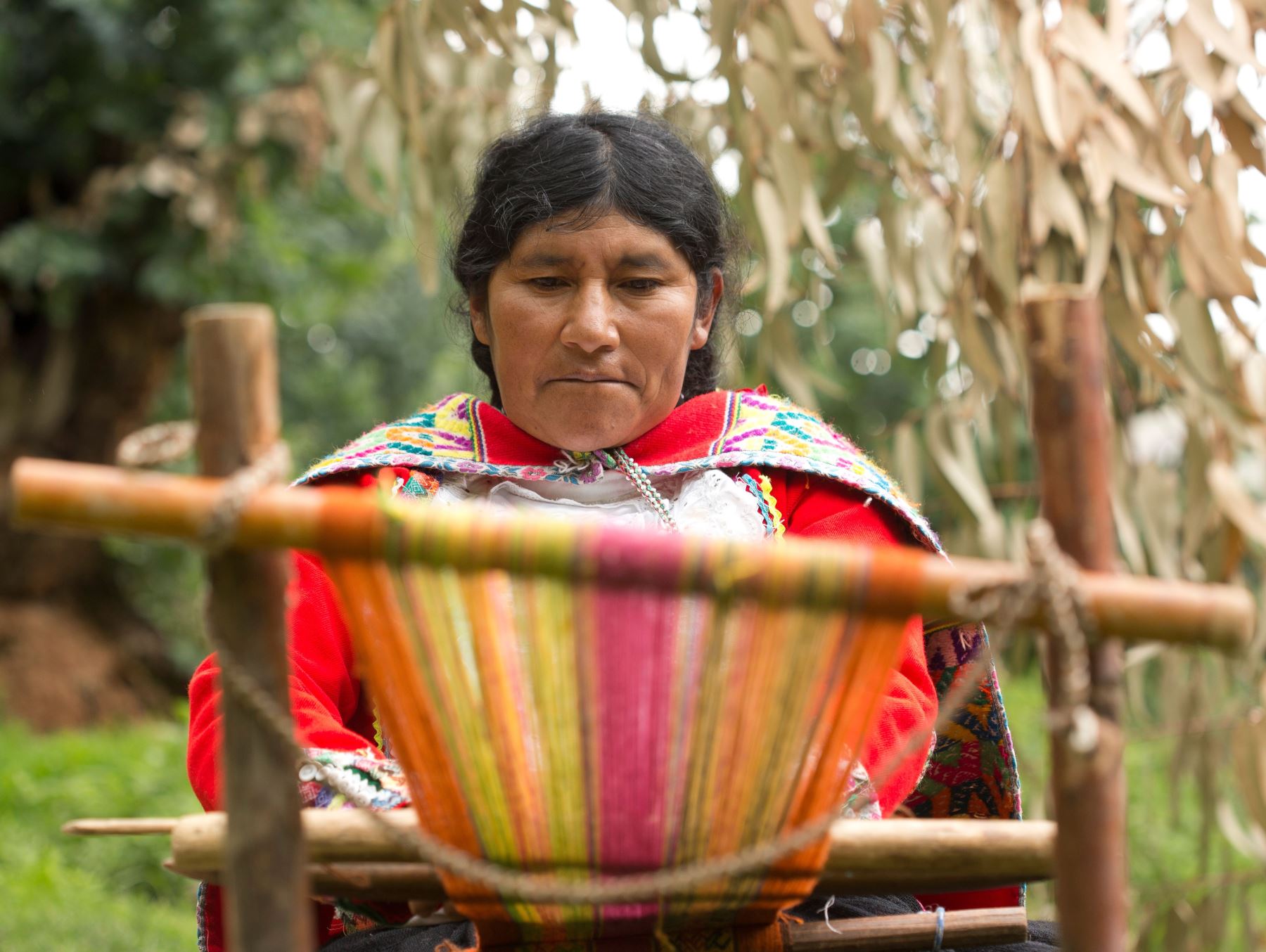 Día del Artesano Victoria Quispe la artesana que preserva el telar de cintura ancestral