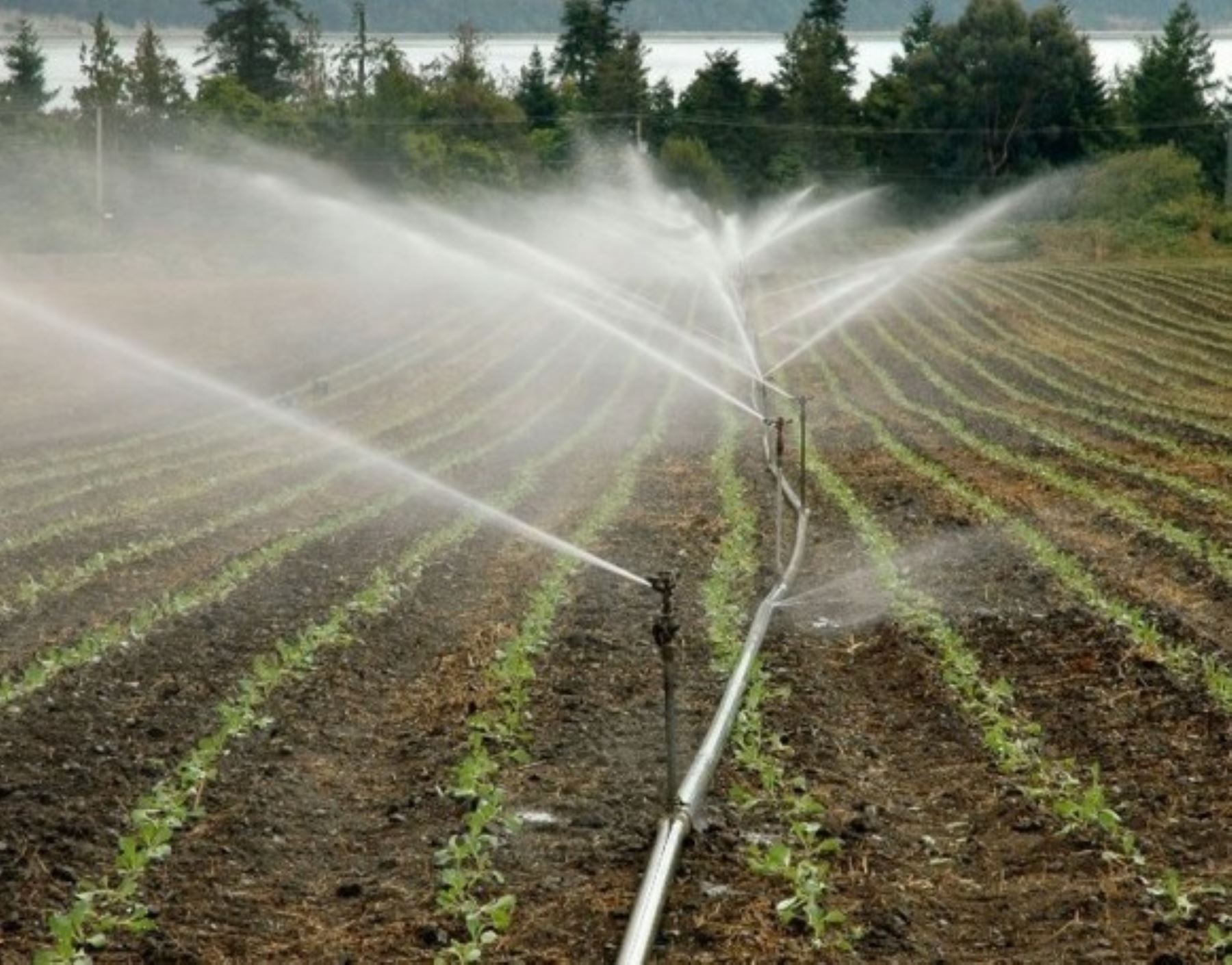 Con motivo de celebrarse la Semana del Agua 2021, el Midagri renovó su compromiso para promover el uso responsable del agua en la agricultura.