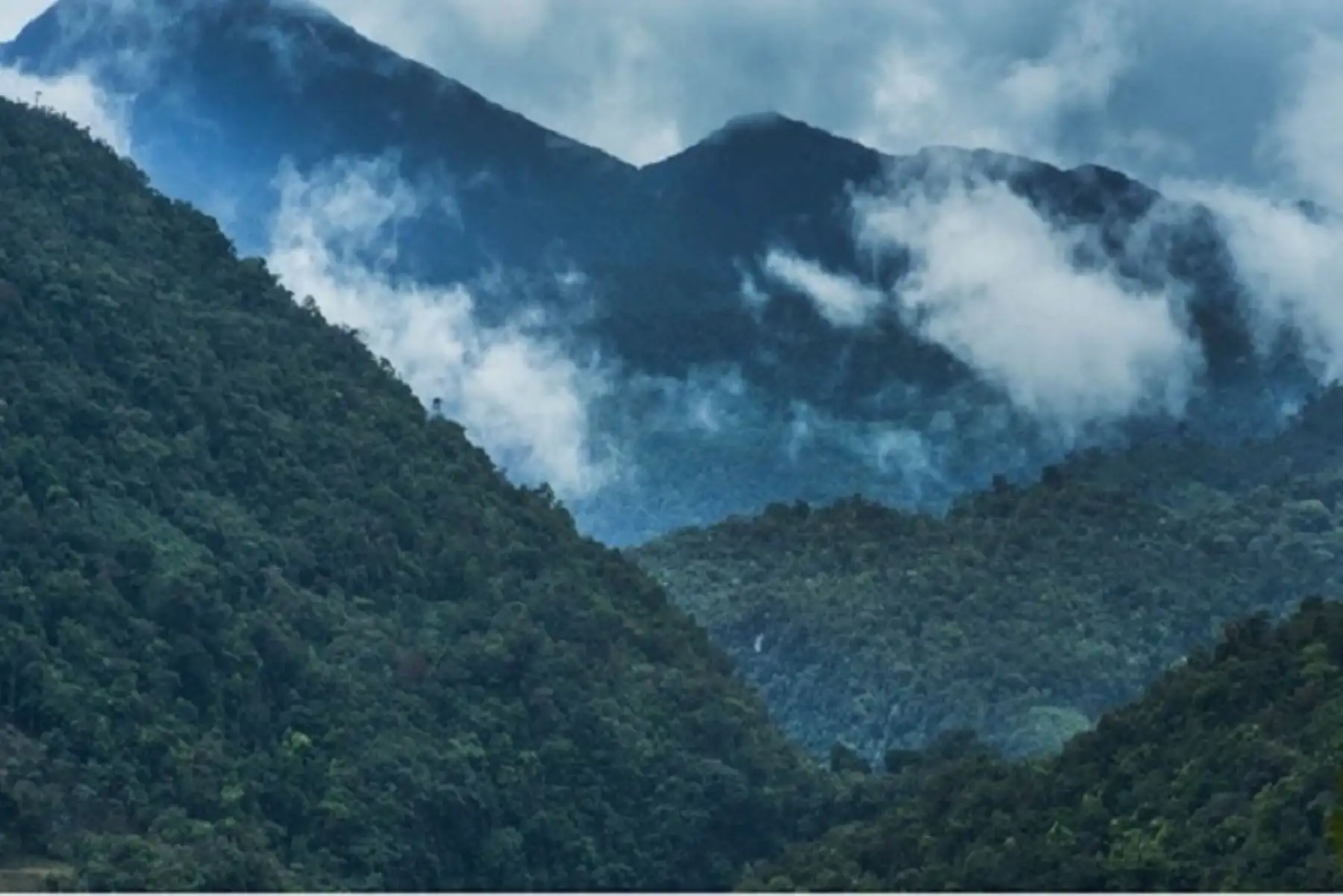 En 2012, la Asamblea General de las Naciones Unidas proclamó el 21 de marzo como Día Internacional de los Bosques, siendo 2013 el primer año en celebrarse oficialmente.