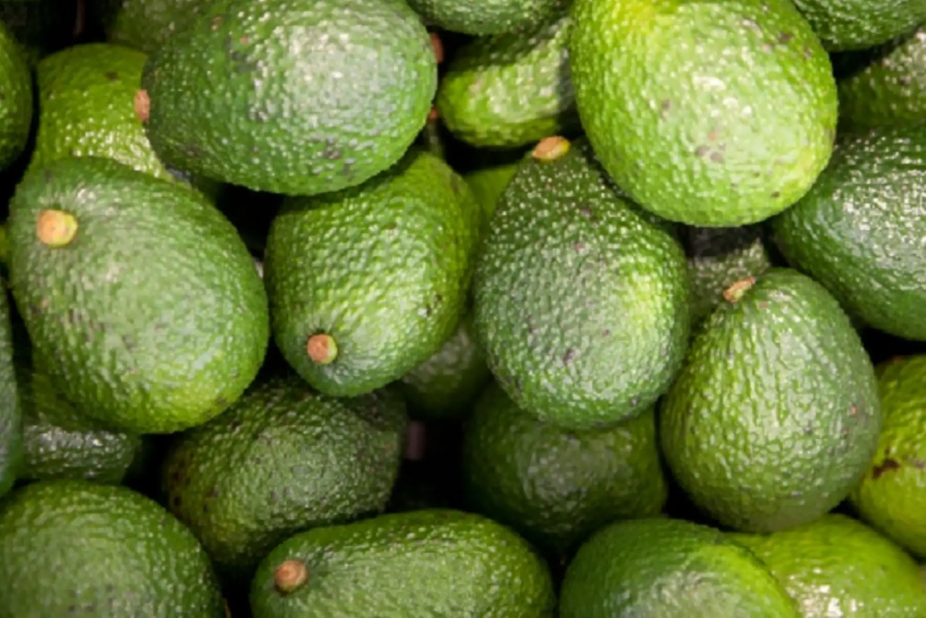 En el contexto del Plan Estratégico Nacional Exportador (PENX 2025), el Mincetur ha venido impulsando la actualización de los PERX en todas las regiones del país.