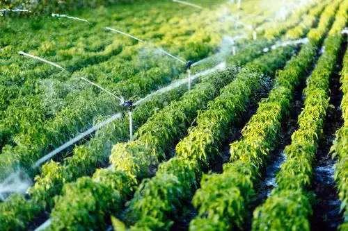 Reconocen al Perú por su manejo responsable y adecuado en el manejo del agua
