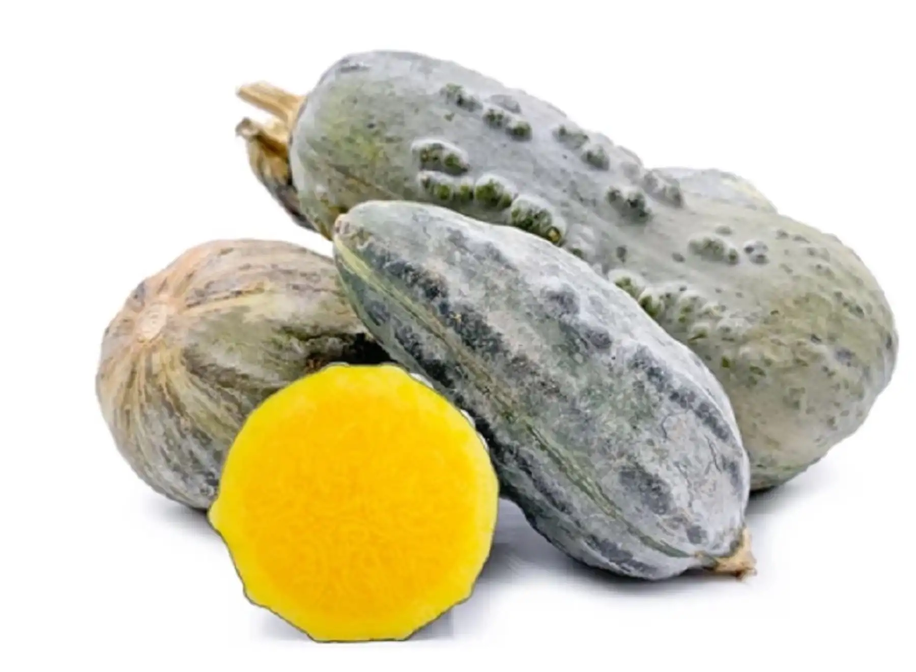 Valorado como un superalimento desde tiempos ancestrales por sus extraordinarios atributos nutricionales, el zapallo loche constituye un cultivo oriundo y emblemático de la costa norte peruana y protagonista estelar de su gastronomía, especialmente de la región Lambayeque. INTERNET/Medios