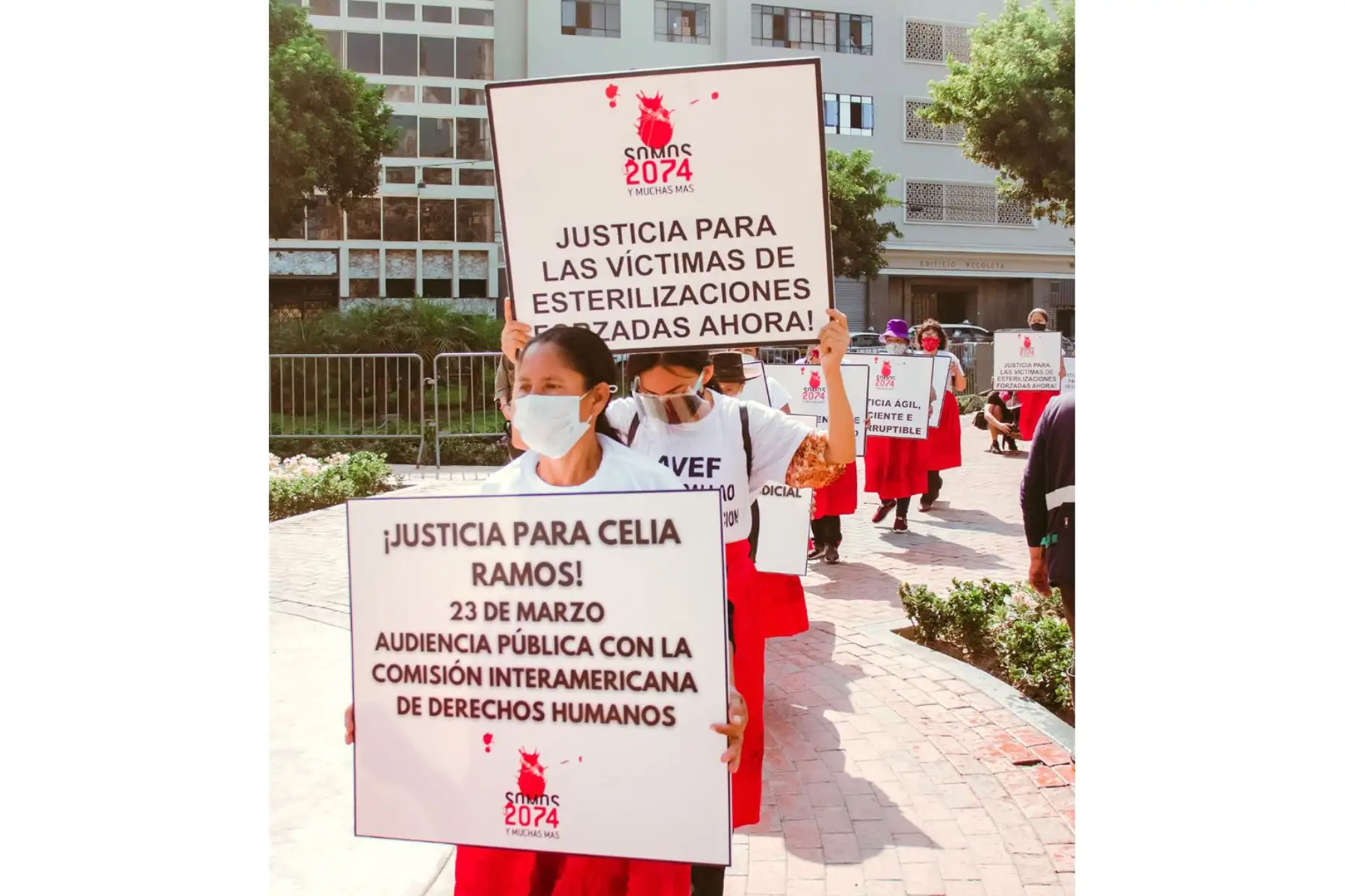 Foto: ANDINA/Difusión.