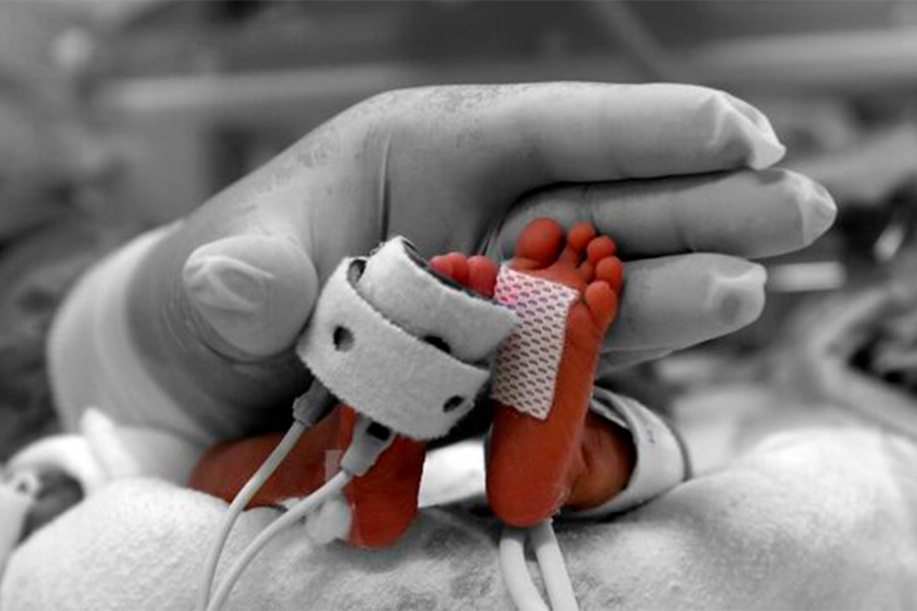 A la fecha, los niños prematuros se recuperaron gracias al trabajo articulado entre los especialistas de ginecobstetricia y neonatología. Foto: ANDINA/Minsa