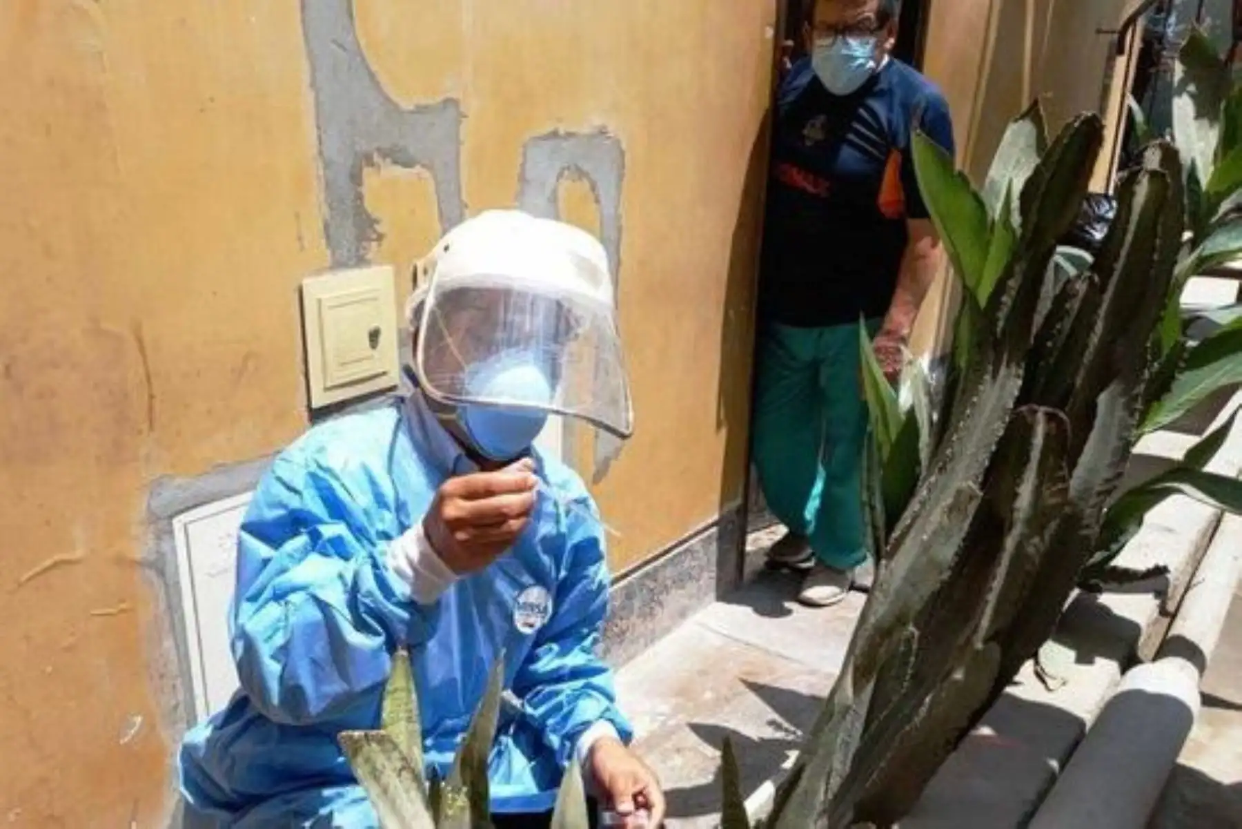 Dengue: intervendrán cerca de 3,000 viviendas de Lima Sur para identificar posibles focos. Foto: ANDINA/Difusión.