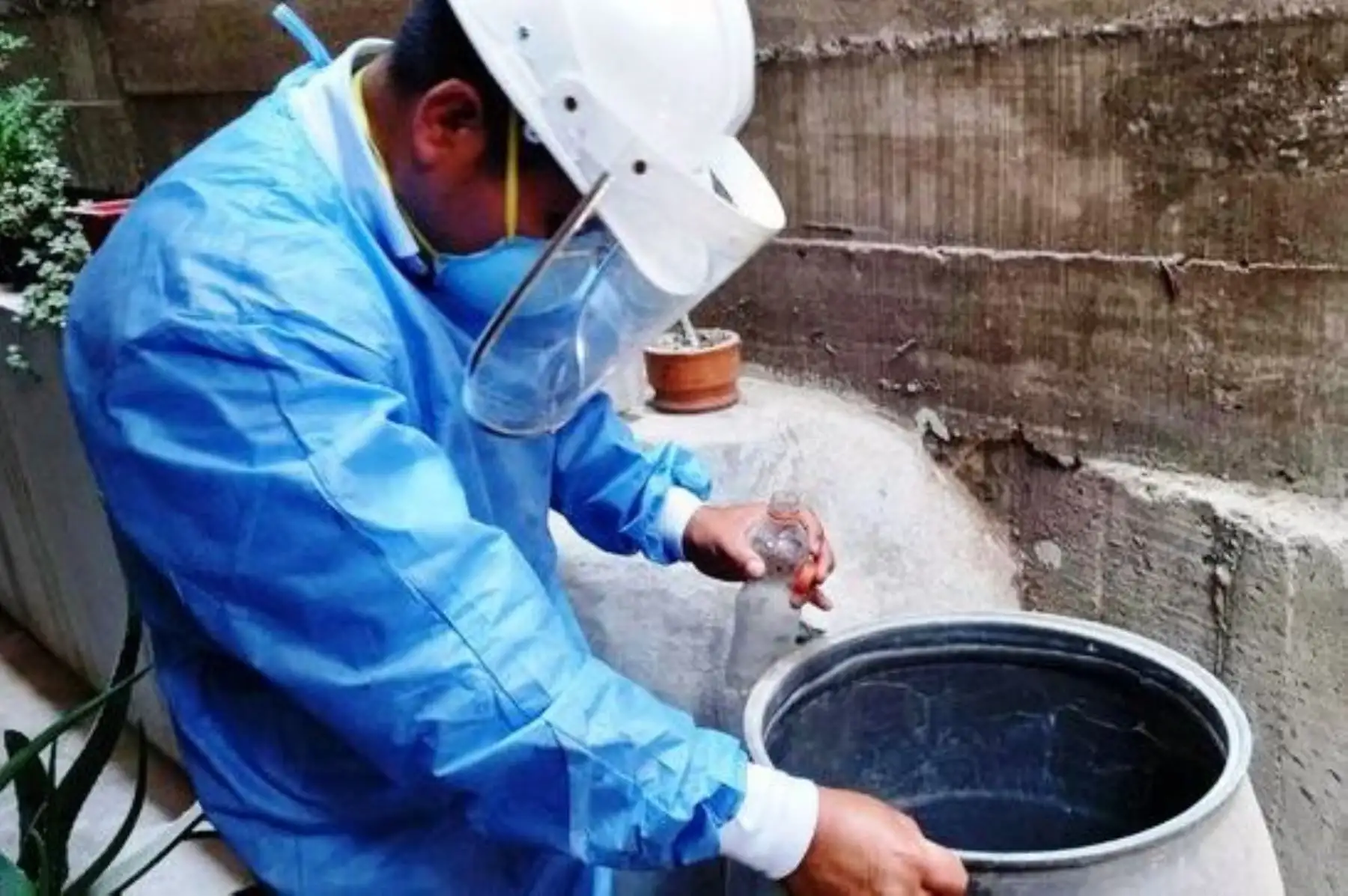 El "Aedes aegypti", que vive en depósitos con agua estancada, es el mosquito transmisor del dengue, la fiebre amarilla y chikungunya. Foro: ANDINA/Difusión
