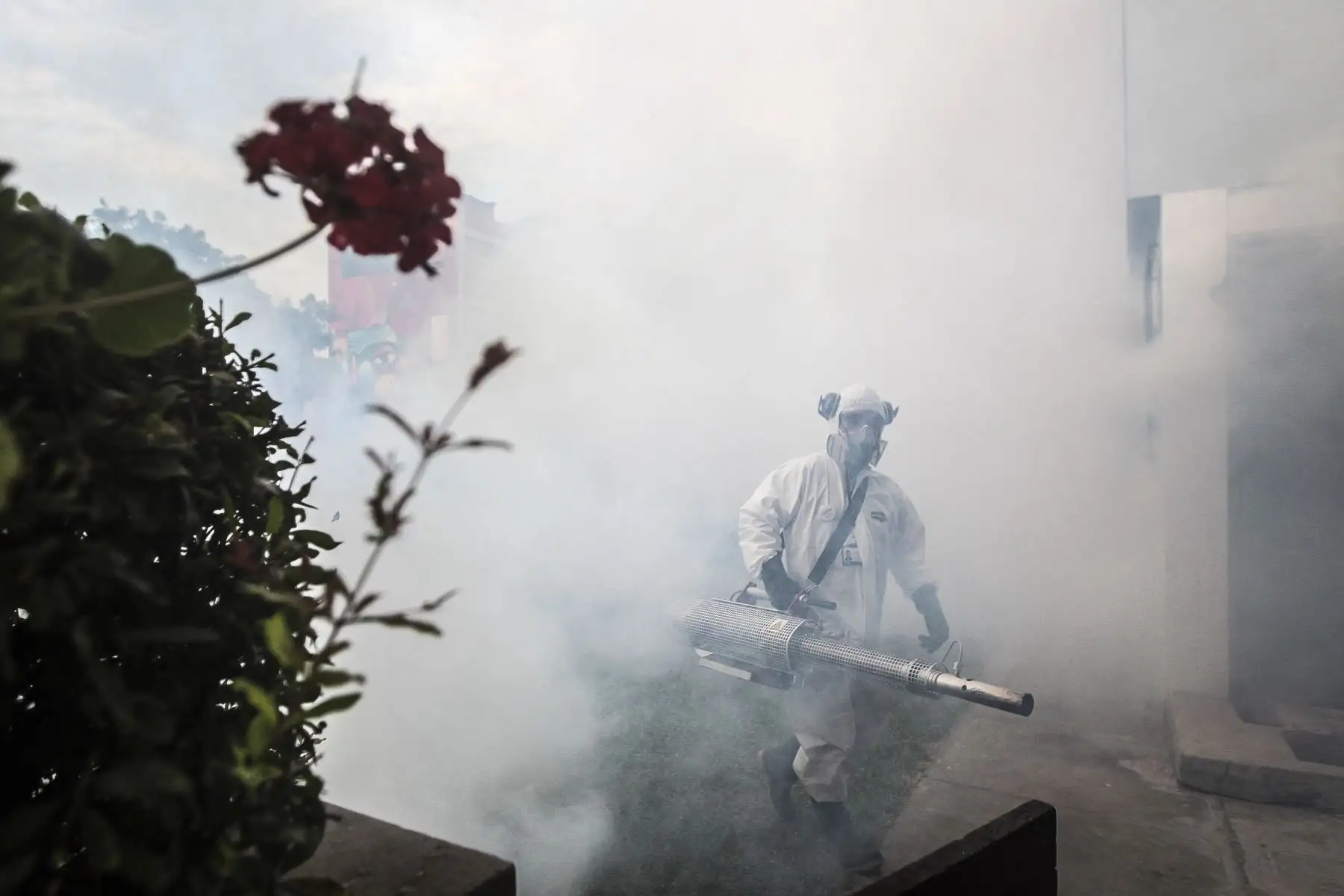 Con el propósito de evitar que proliferen los casos de dengue en el Cercado de Lima, el Ministerio de Salud, en coordinación con la Dirección de Redes Integradas de Lima Centro, continúa con labores de fumigación en la Unidad Vecinal de Mirones en el Cercado de Lima. Foto: ANDINA/Carla Patiño Ramírez