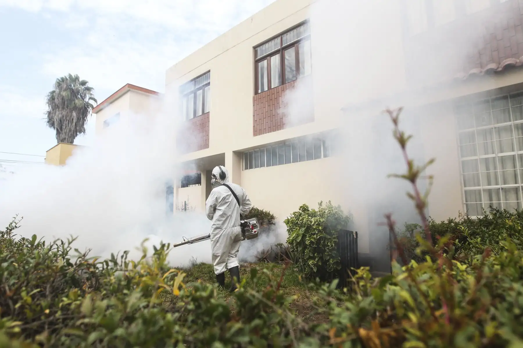 Con el propósito de evitar que proliferen los casos de dengue en el Cercado de Lima, el Ministerio de Salud, en coordinación con la Dirección de Redes Integradas de Lima Centro, continúa con labores de fumigación en la Unidad Vecinal de Mirones en el Cercado de Lima. Foto: ANDINA/Carla Patiño Ramírez
