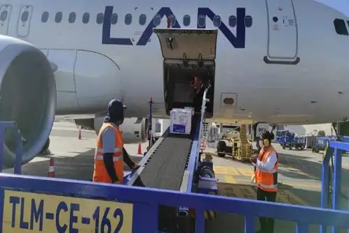 Arequipa: llegan vacunas contra covid-19 para adultos mayores y FF. AA.