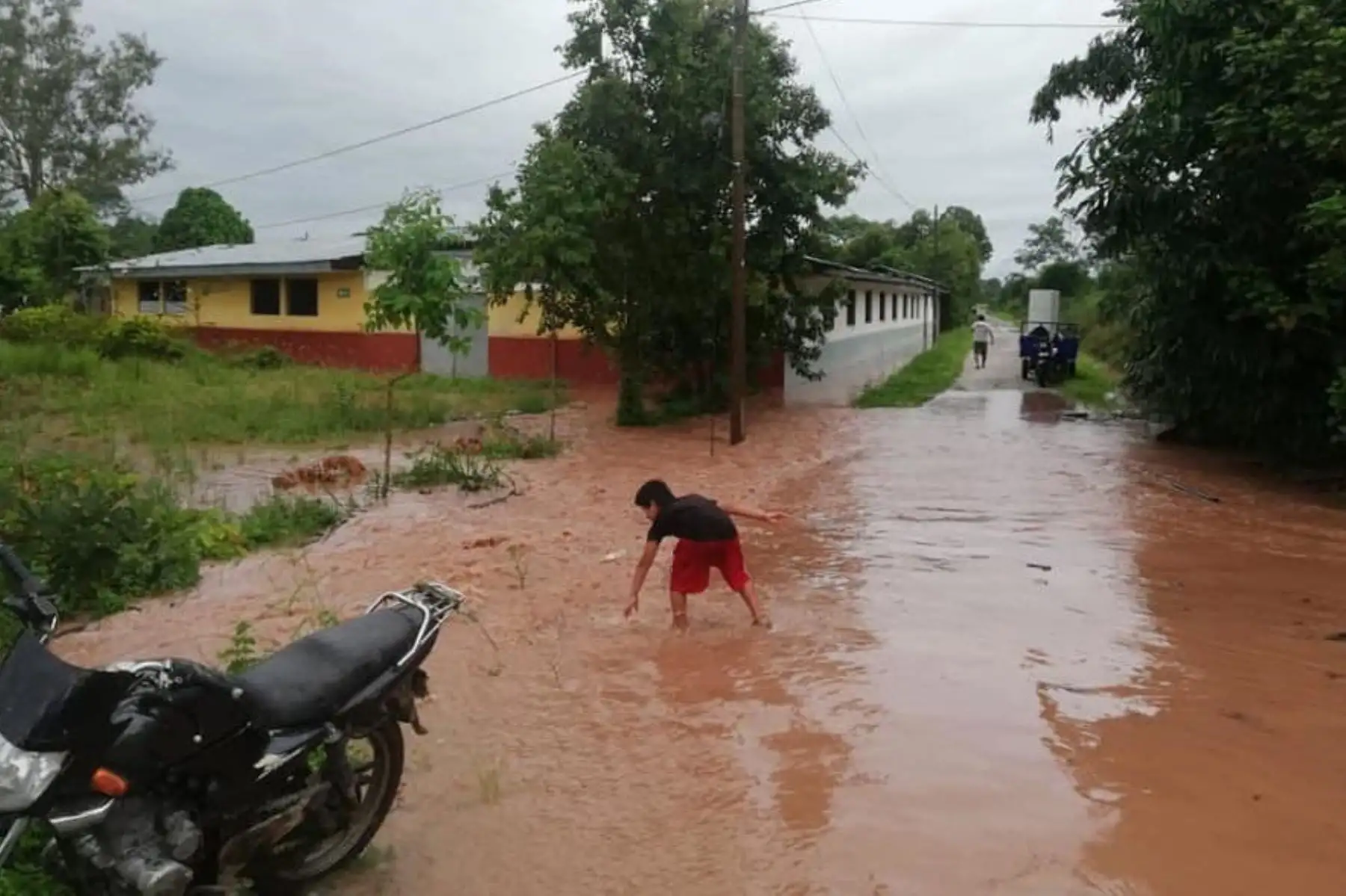 ANDINA/Difusión