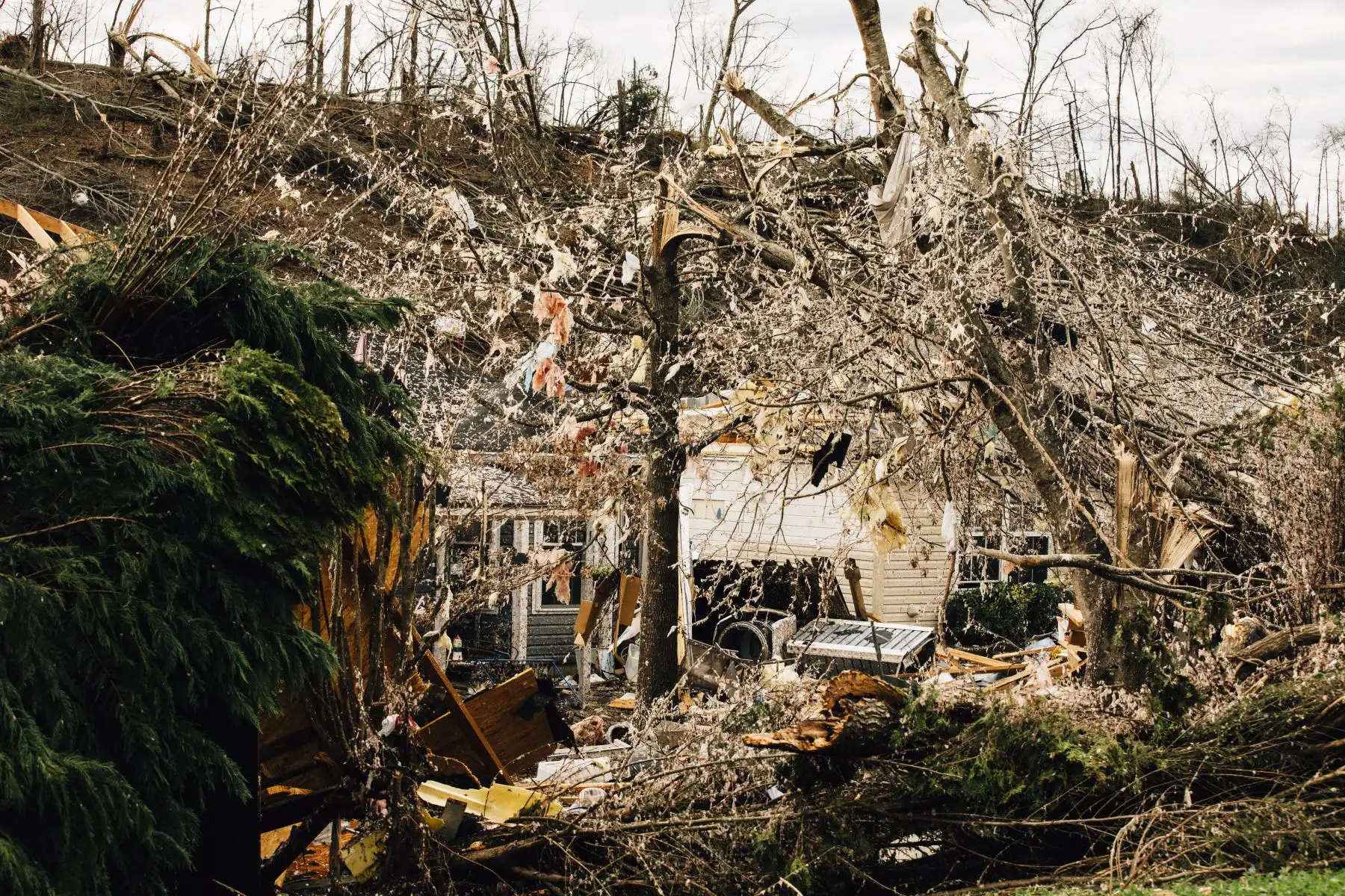 Los árboles caídos dañan una propiedad a raíz de un tornado el 26 de enero de 2021 en Fultondale, Alabama. Foto: AFP