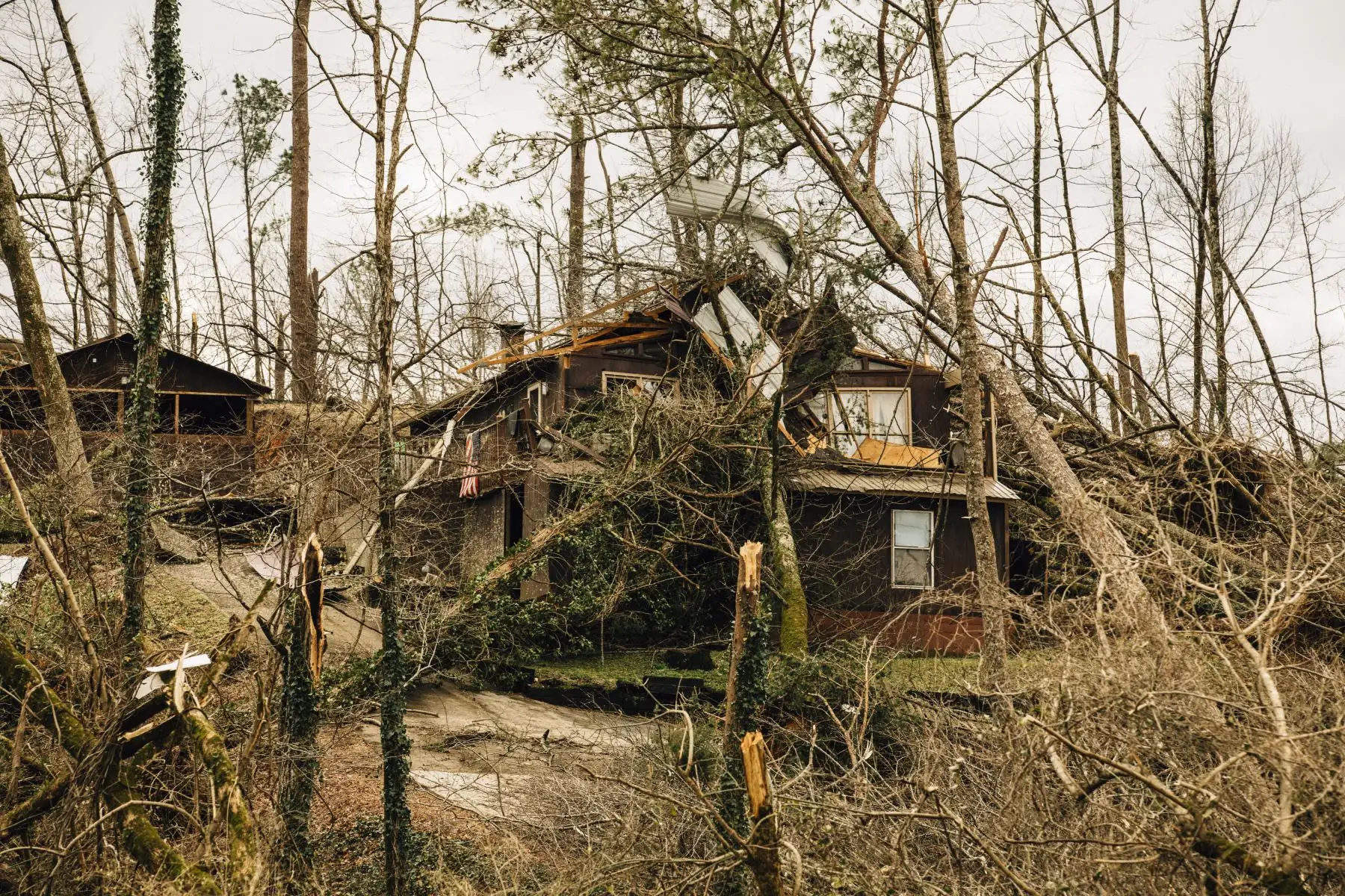 Los árboles caídos dañan una propiedad a raíz de un tornado el 26 de enero de 2021 en Fultondale, Alabama. Un tornado arrasó Fultondale dañando la propiedad y dejando una persona muerta y más de una docena de heridos. Foto: AFP