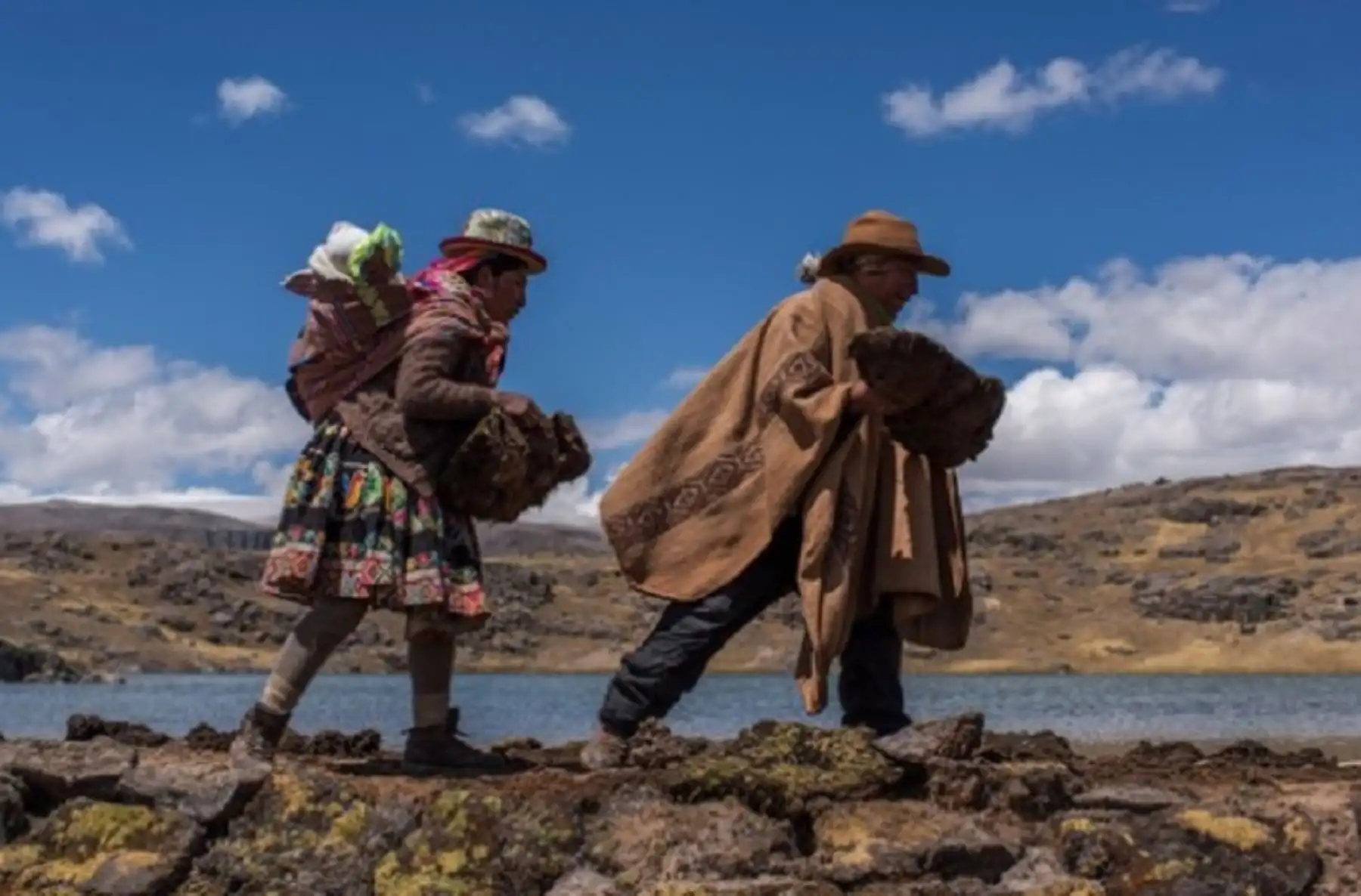 Las soluciones basadas en la naturaleza son acciones que protegen, restauran y gestionan de manera sostenible los ecosistemas y los servicios que estos proveen para responder al cambio climático, destacó el Ministerio del Ambiente. Foto: Minam.