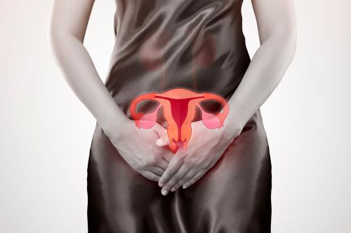 El Ministerio de Salud (Minsa) informó que en el Perú y otros países de América Latina, se estima que la consulta en los servicios de ginecología por menstruación abundante, representa el 15 % a 20 % de atenciones. Foto: ANDINA/Difusión