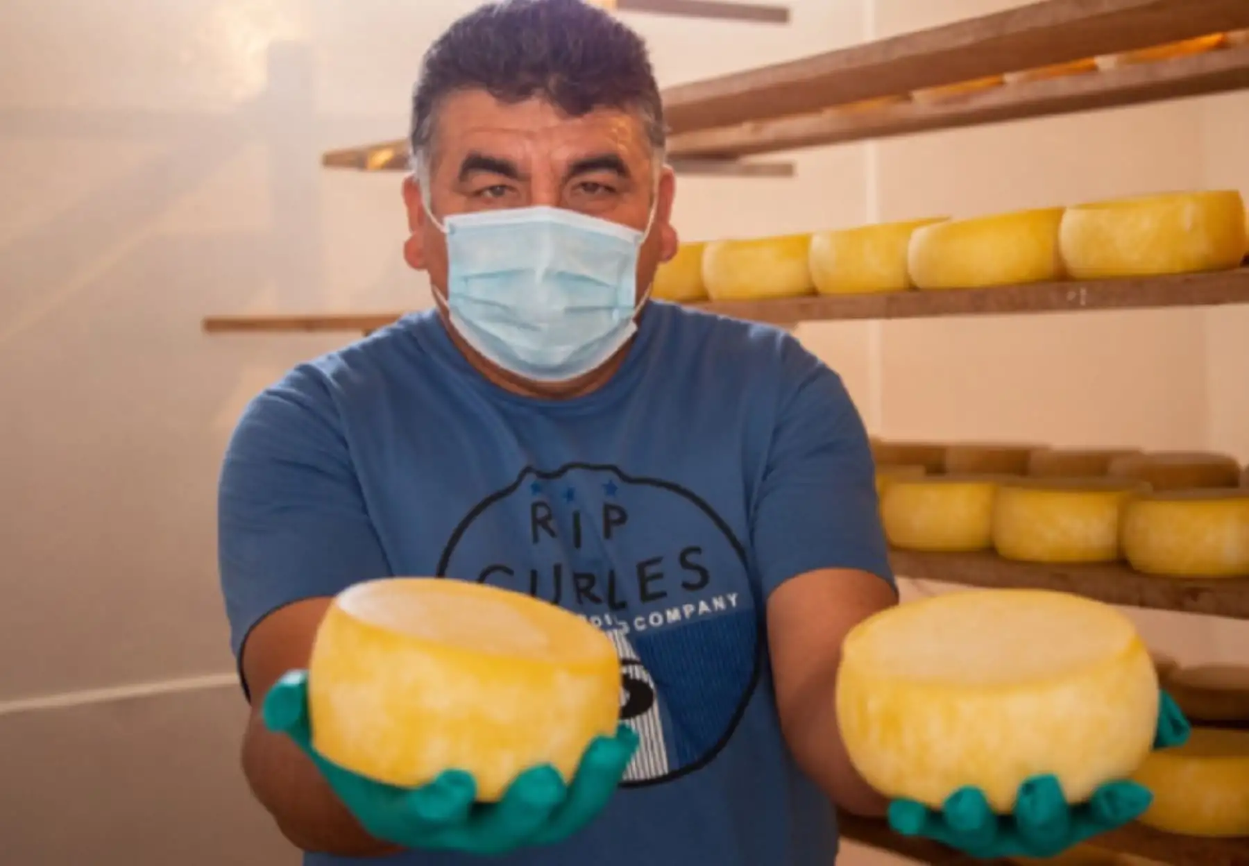 Bajo el soporte del CITEagroindustrial Majes, la Asociación de Productores de Leche de la Punta (Aprolap), mejorará el desarrollo de su producción con la adquisición de equipos de refrigeración para la sala de maduración con el fin de evitar que altas temperaturas de verano en la región Arequipa, afecten la elaboración de productos agroindustriales como el queso con orégano y queso con ají limo.