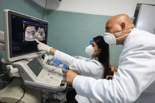 Essalud: 10% de las  pruebas de despistaje realizadas en los centros oncológicos preventivos  durante la pandemia dieron  positivo. Foto: ANDINA/ Essalud