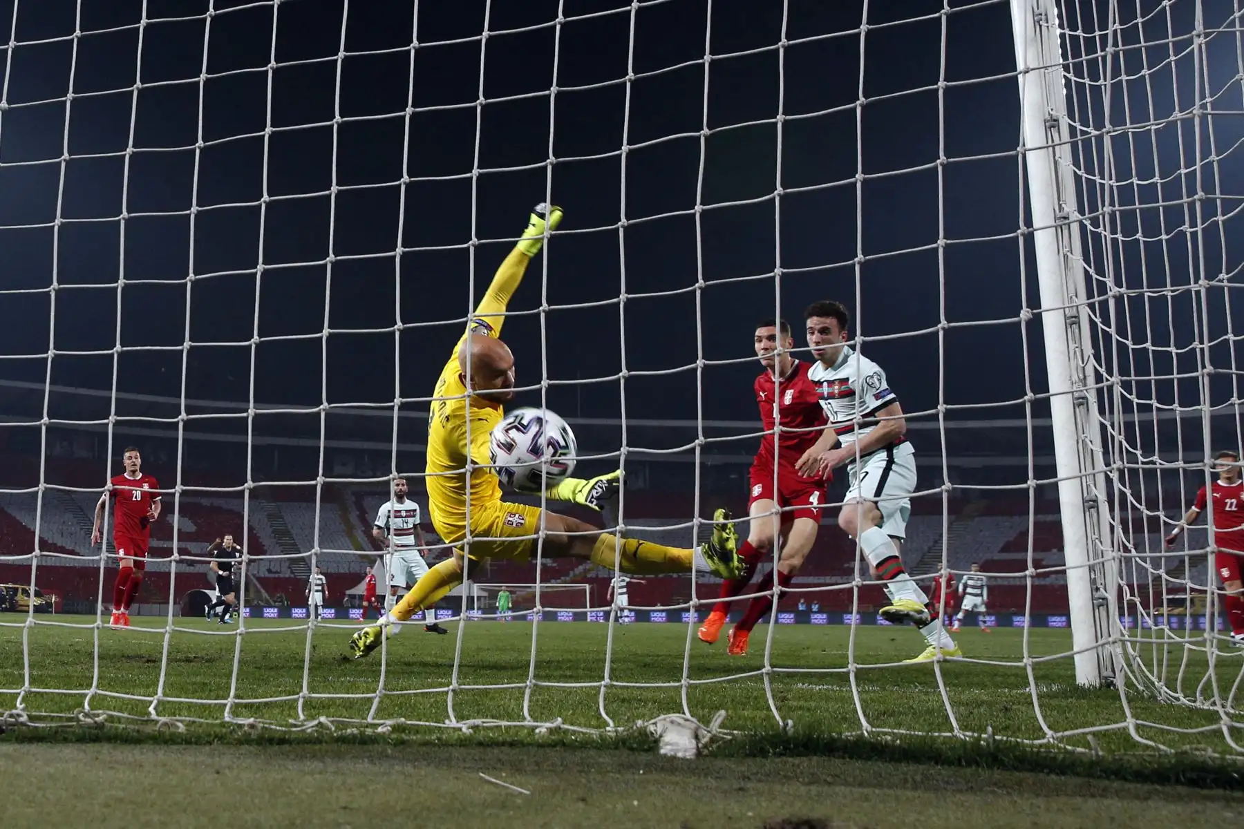 El portero serbio Marko Dmitrovic (C) concede un gol del delantero portugués Diogo Jota (R) durante la clasificación de la Copa Mundial de la FIFA Qatar 2022 Grupo A partido de fútbol entre Serbia y Portugal en el Rajko Mitic Stadium, en Belgrado. Foto: AFP