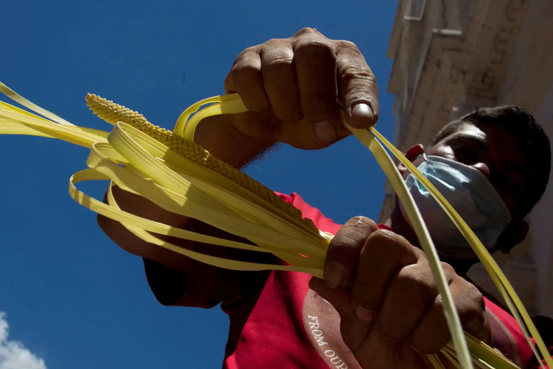 Un campesino vende ramos de palma a la entrada de la Catedral San Miguel Arcángel de Tegucigalpa. La pandemia de covid-19 que afecta a Honduras desde marzo de 2020 ha reducido este año las ventas de tiras palmas para su bendición el Domingo de Ramos en los templos católicos. 
Foto: EFE