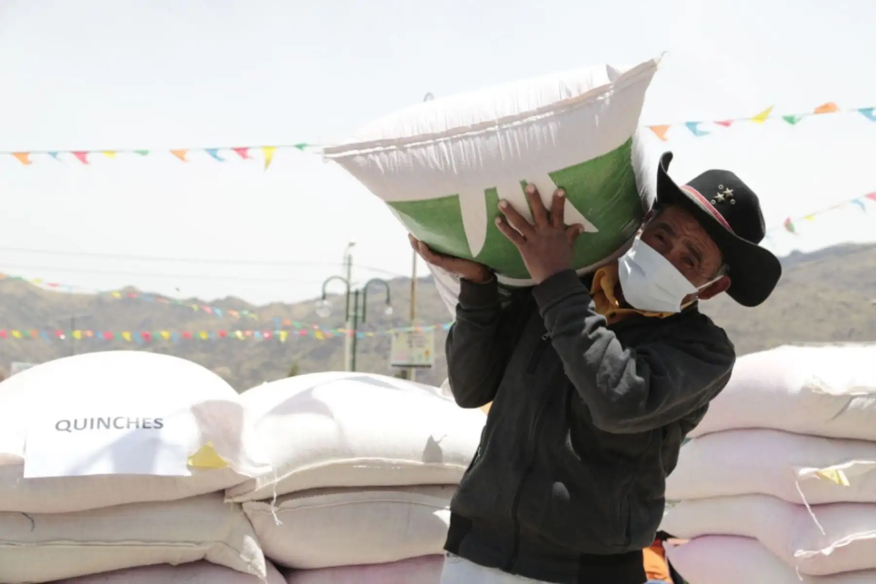 Agro Rural del MIDAGRI incrementa la productividad de más de 10 895 familias ganaderas con la instalación de 9 602 hectáreas de pastos cultivados en la región Huánuco, gracias la Campaña de Siembra de Pastos y Forrajes 2020-2021. Foto: Agro Rural
