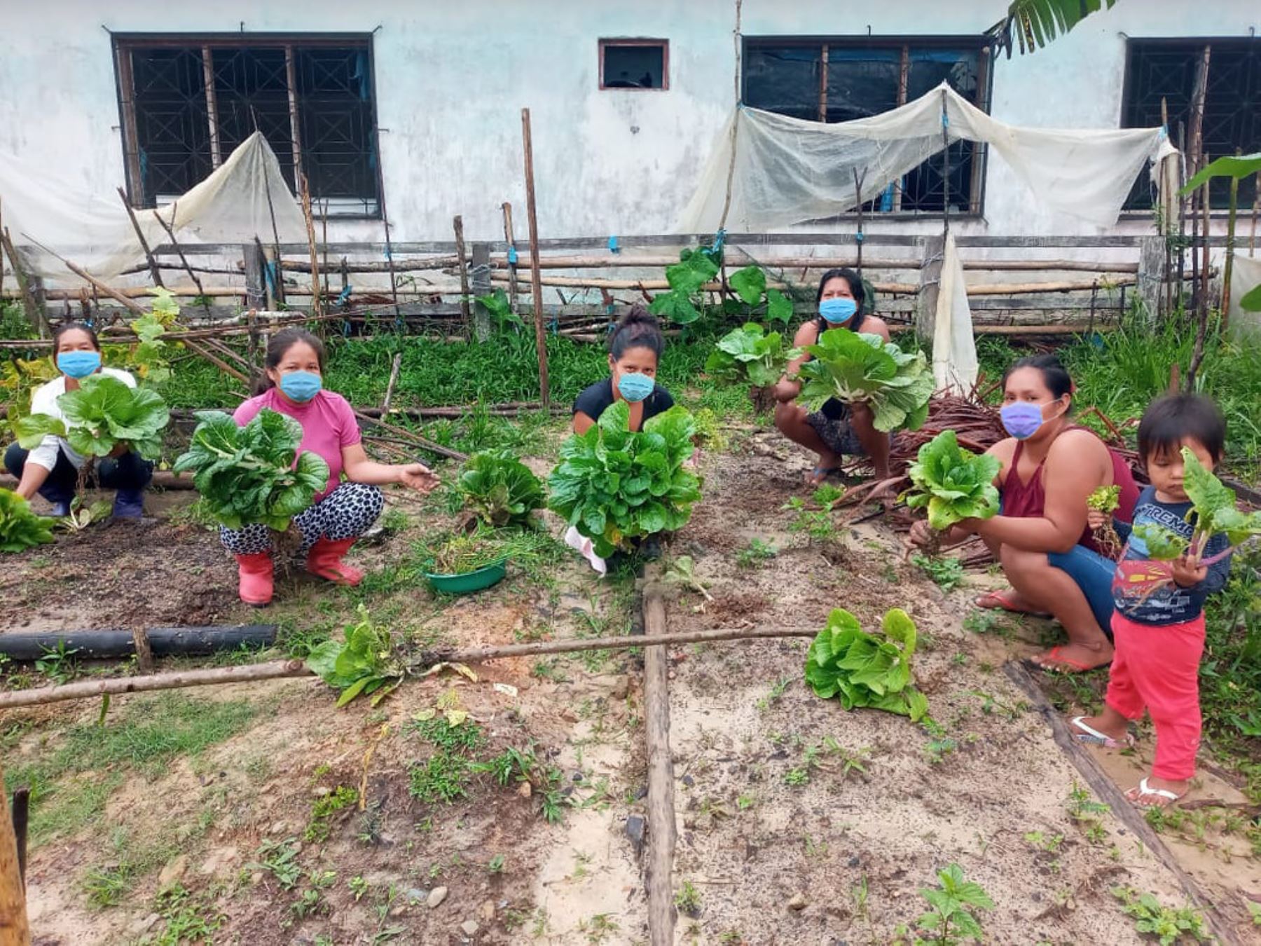 El trabajo articulado entre el Tambo Santa Ana Primera Zona y el Gobierno Regional de Loreto ha permitido brindar un centro de apoyo que motive a las familias de la comunidad a desarrollar sus propios espacios de producción agrícola y mejorar de esta manera la alimentación de sus hijas e hijos.