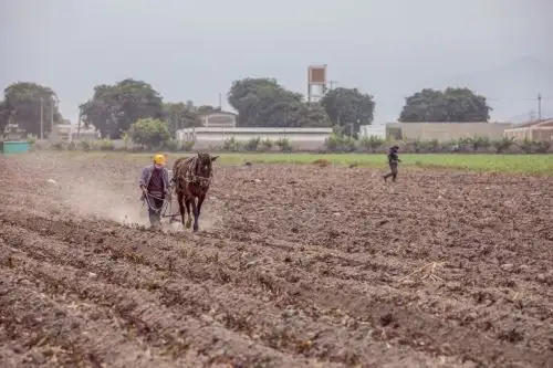 Productores agrarios. Foto: cortesía Midagri.