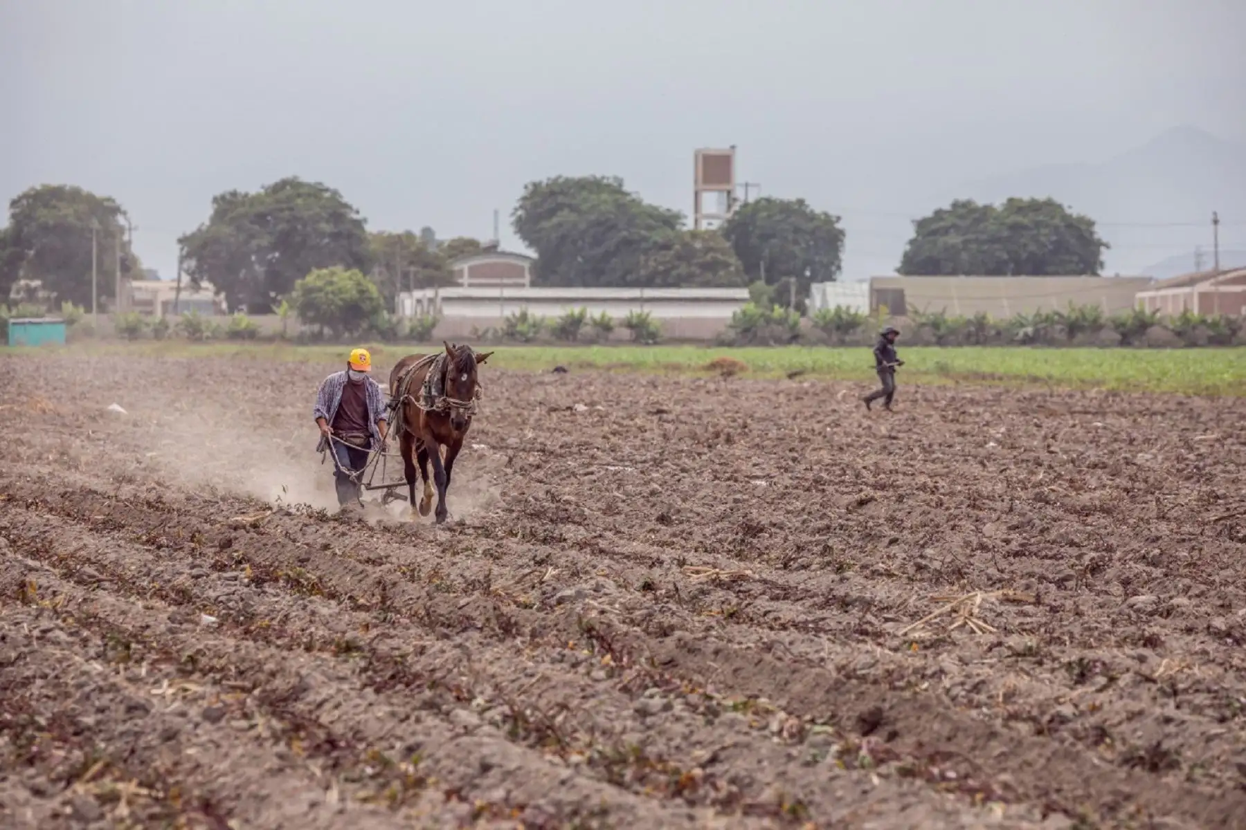 Productores agrarios. Foto: cortesía Midagri.