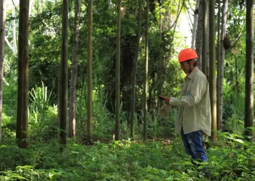 Estandarizan procedimientos administrativos forestales y de fauna para facilitar trámites