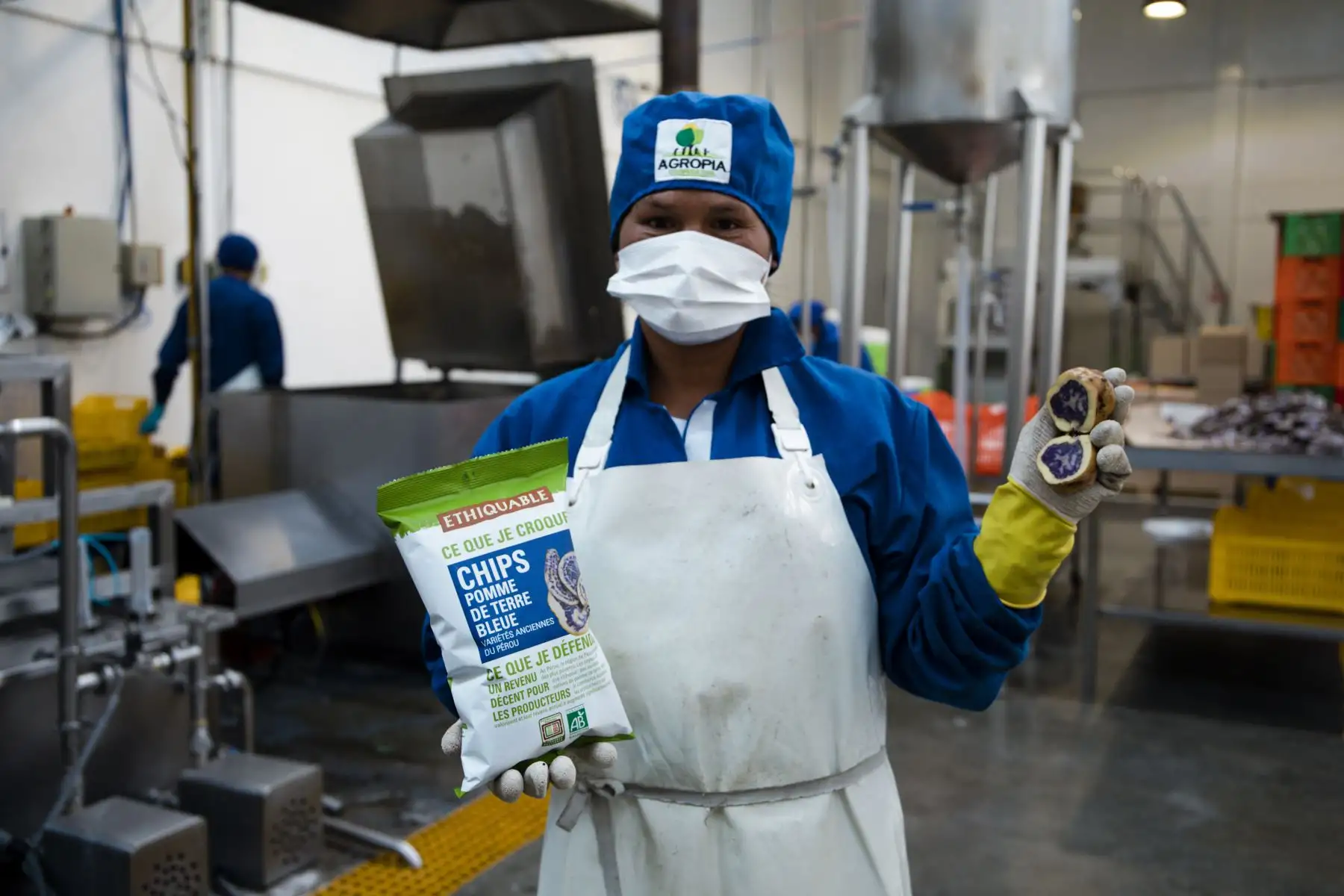 MIDAGRI: Más de 4,800 productores de la Agricultura Familiar operan plantas procesadoras