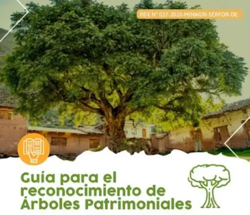 El Servicio Nacional Forestal y de Fauna Silvestre aprobó la guía que orienta a las autoridades y a los ciudadanos sobre el procedimiento para la identificación, postulación y reconocimiento de árboles de especial importancia dentro de su ámbito geográfico, denominándolos árboles patrimoniales.