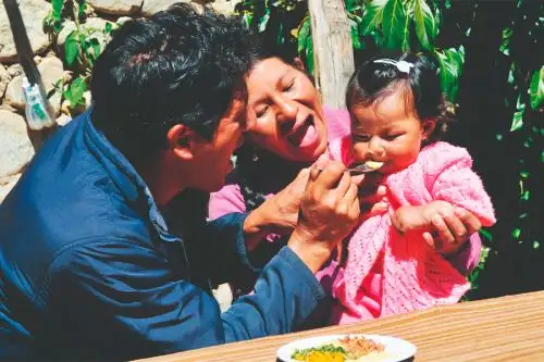 La pérdida de ingresos en los hogares estaría produciendo un retroceso de más de una década en los indicadores de desarrollo. Foto: ANDINA/ADN-Juvenil Perú