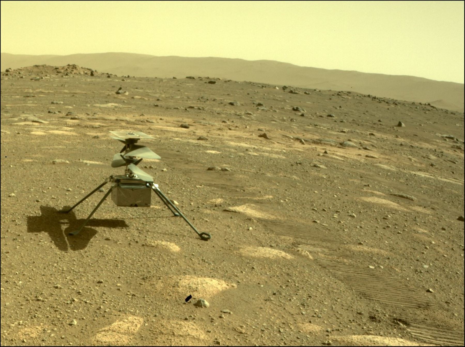 El helicóptero Ingenuity de la NASA se puede ver en Marte a través de la Hazard Camera del rover Perseverance captada el 4 de abril de 2021, el día marciano, o sol, número 44 de la misión.
Crédito: NASA / JPL-Caltech.