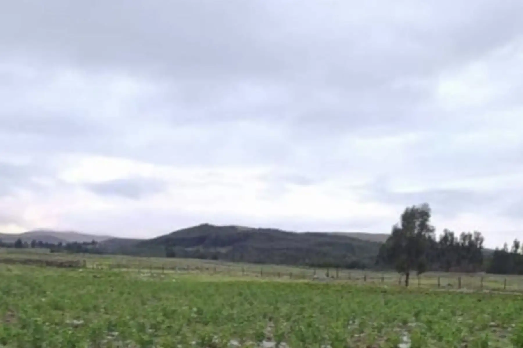 Para mañana viernes 9 de abril se esperan acumulados de lluvia cercanos a los 12 y 14 milímetros por día en la sierra centro y sierra sur. Foto: ANDINA/difusión.