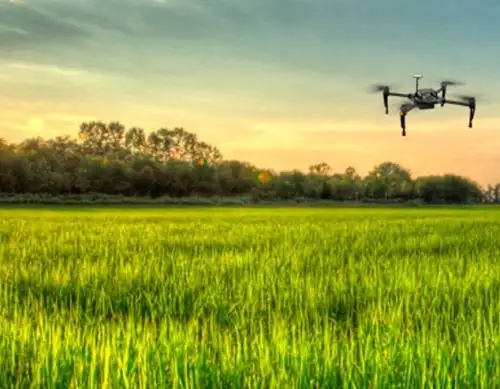 Lambayeque apuesta por la tecnología de punta para impulsan producción agrícola. Un proyecto, que desarrolla la UNALM, propone el uso de drones y satélites para optimizar el cultivo de arrozales. ANDINA/Difusión