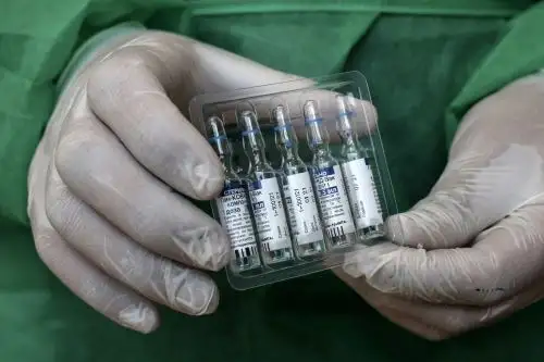 Según Berlín, toda entrega de la Sputnik V está sujeta a la aprobación de la Agencia Europea del Medicamento. Foto: AFP.