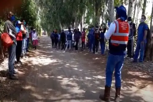 El número de WhatsApp de denuncias del servicio Chamba Móvil es: 969781997.