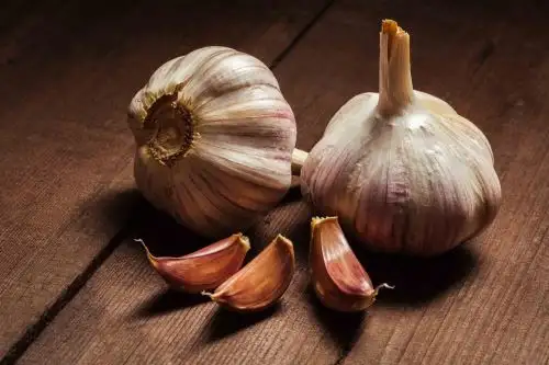 Los lotes de ajo deberán estar conformados por bulbos (cabeza integrada por dientes) de la forma típica de la variedad, compactos y constituidos por dientes ovoideos y carnosos. Foto: ANDINA/Inacal