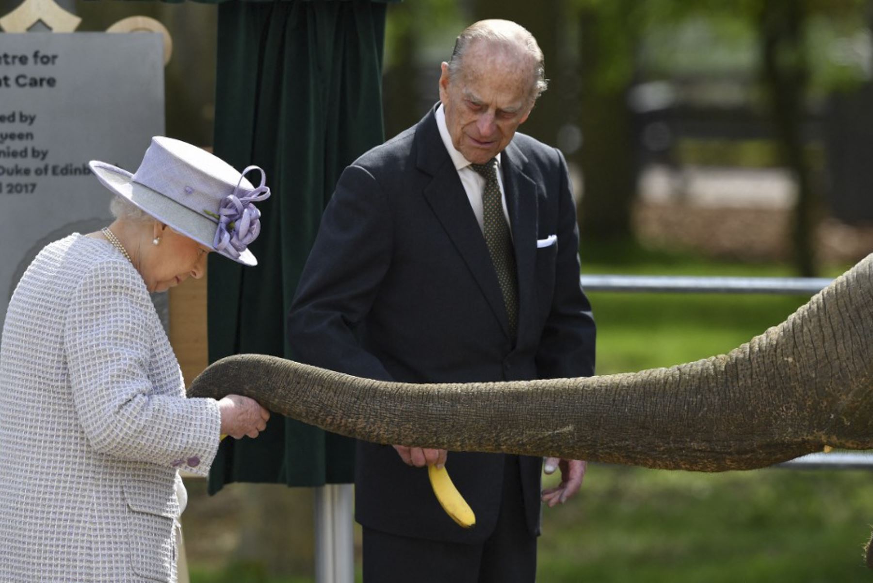 El príncipe Felipe de Gran Bretaña, duque de Edimburgo (C) observa cómo su esposa, la reina Isabel II de Gran Bretaña, alimenta a un elefante llamado 