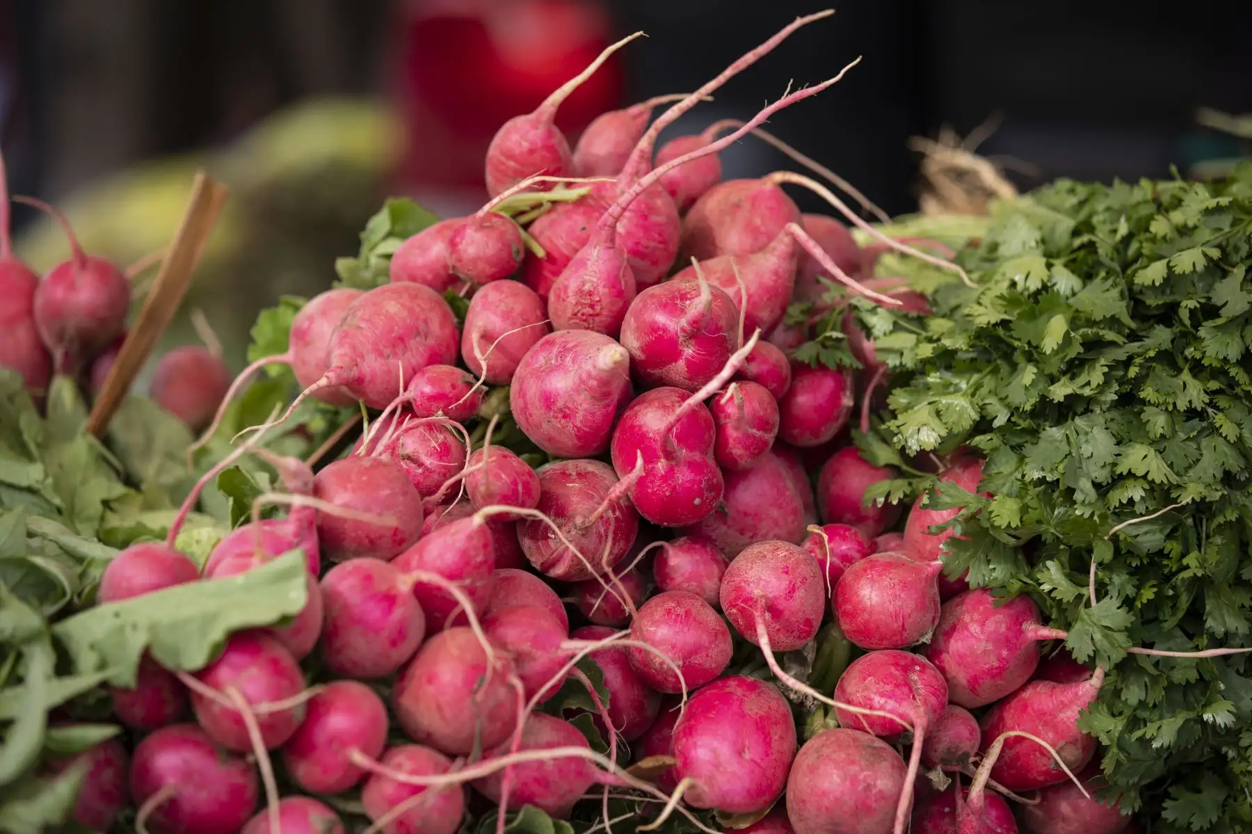 Mercado móvil de la Municipalidad de Lima llegó con productos de primera necesidad a precios bajos, a la losa El Planeta en el Cercado de Lima. Foto: MML