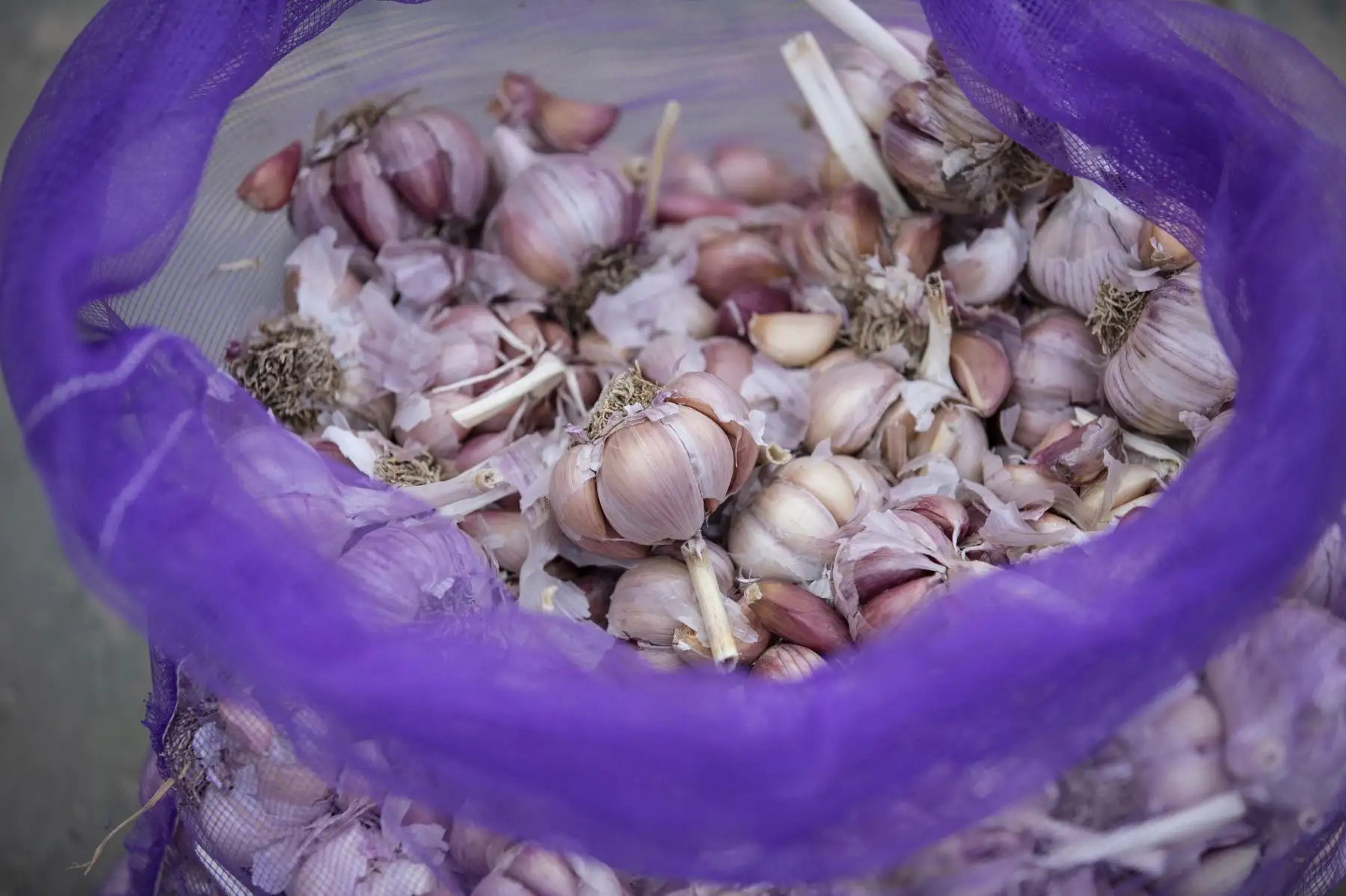 Mercado móvil de la Municipalidad de Lima llegó con productos de primera necesidad a precios bajos, a la losa El Planeta en el Cercado de Lima. Foto: MML