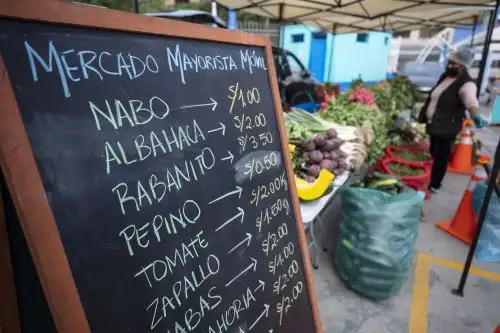 Foto: ANDINA/difusión.